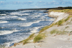 Fischland, Darß, Weststrand, Ostseeküste bei Sturm Fischland, Darß, Weststrand, Ostseeküste bei Sturm